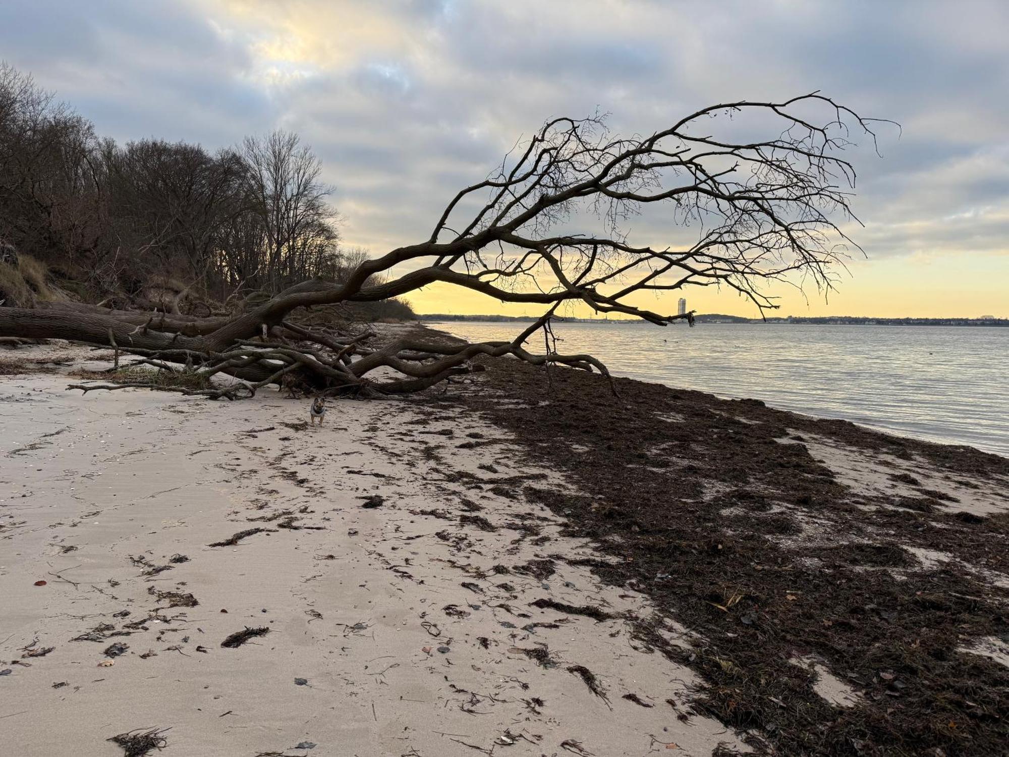 Apartment An Der Ostsee Naehe Priwall Dassow